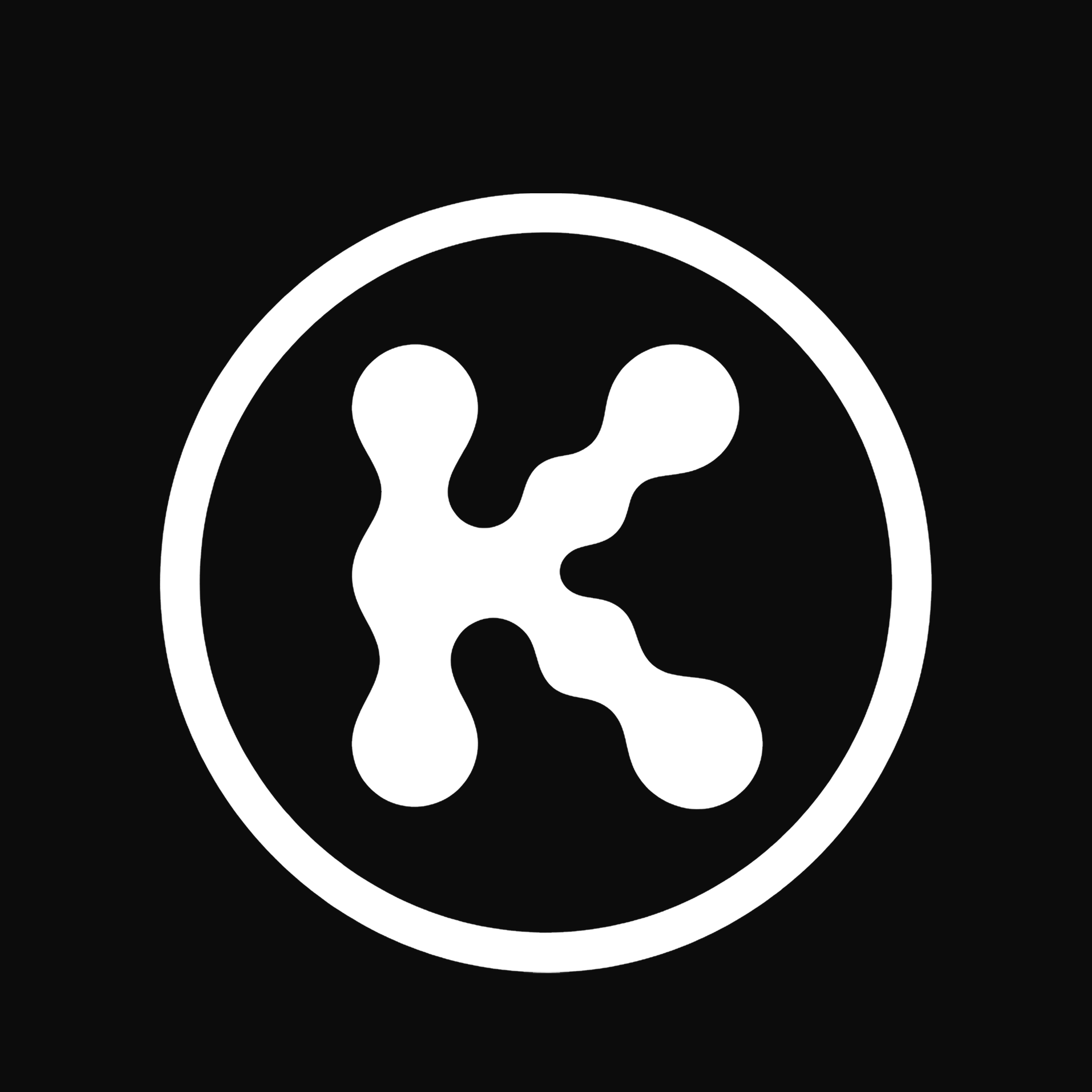 Luca Renzi - Realcism - Brandfolio